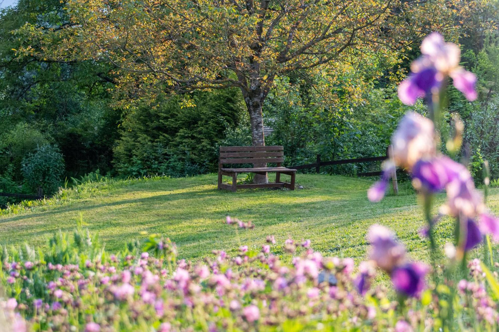 Gartenlodge Auszeit Nötsch Exteriér fotografie