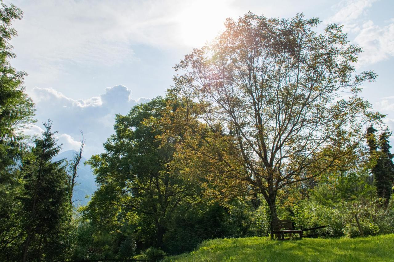 Gartenlodge Auszeit Nötsch Exteriér fotografie